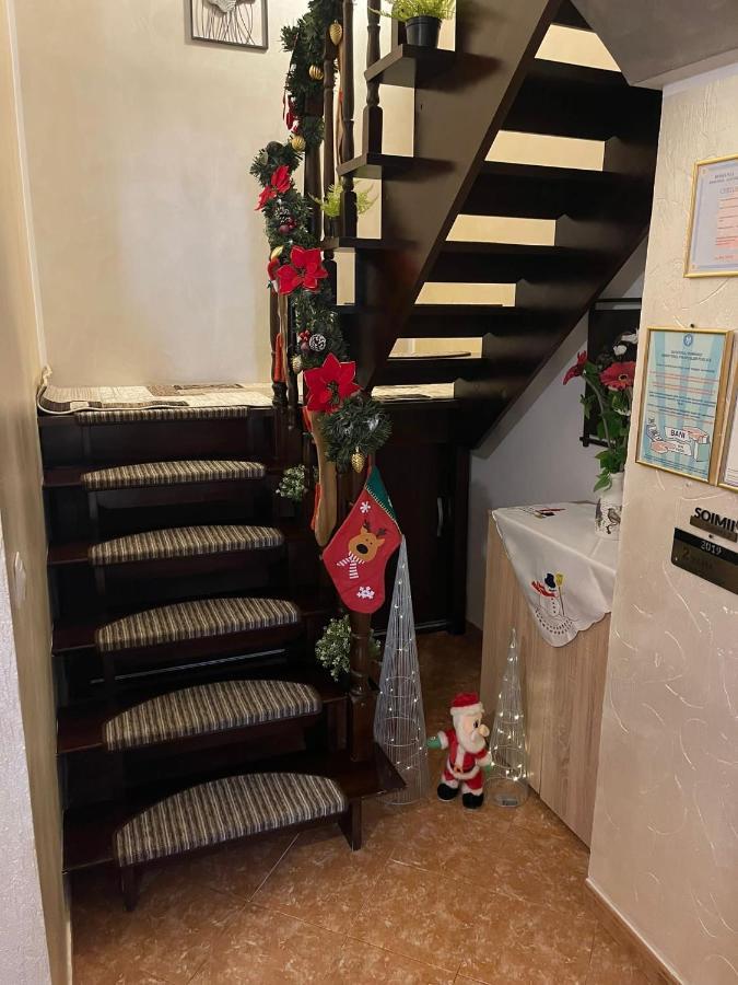 Casa Cu Pitici Vendégház Vámfalu Kültér fotó