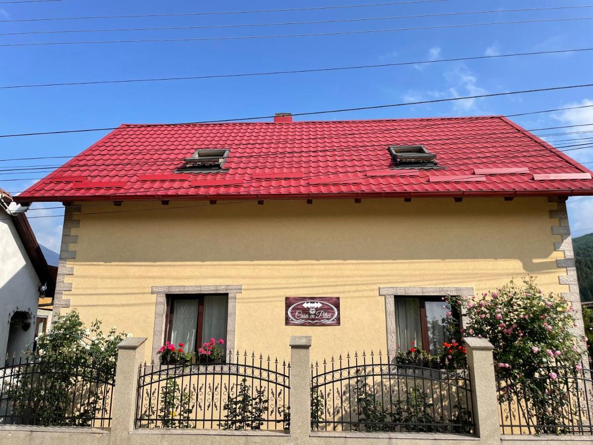 Casa Cu Pitici Vendégház Vámfalu Kültér fotó