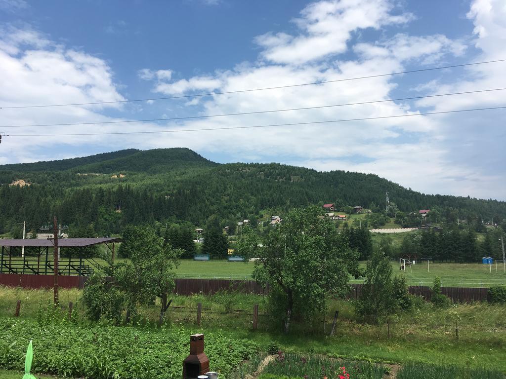 Casa Cu Pitici Vendégház Vámfalu Kültér fotó