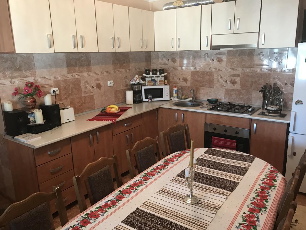 Casa Cu Pitici Vendégház Vámfalu Kültér fotó